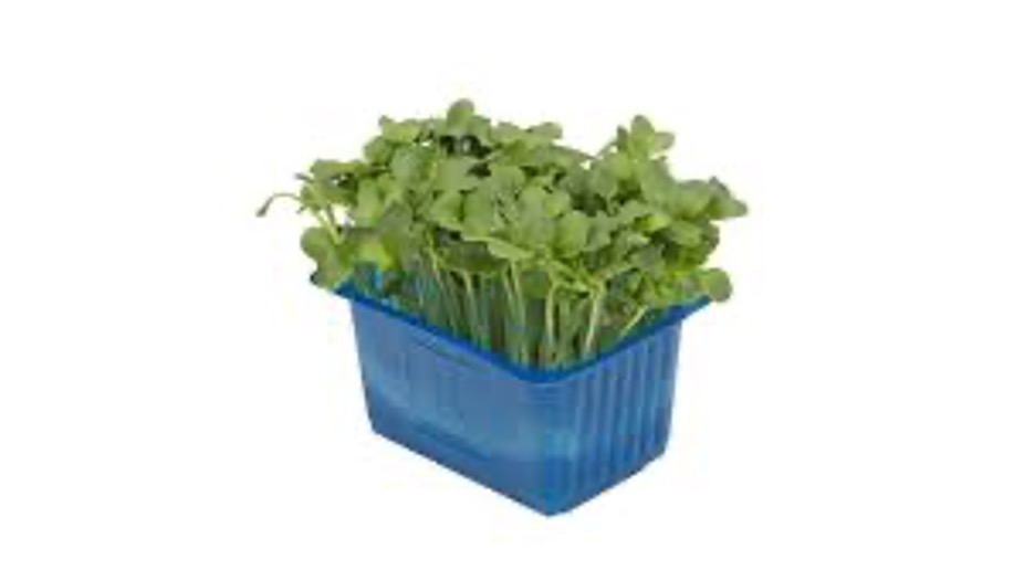 Mustard Cress Top Seal