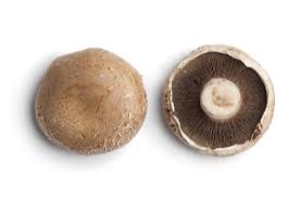 Mushroom Portobello/Swiss Brown