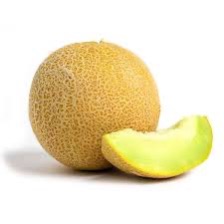 Melon Galia