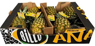 Pineapple by Air [Case]