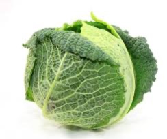 Cabbage Savoy [Each]