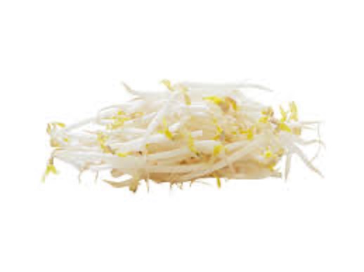 Bean Sprout