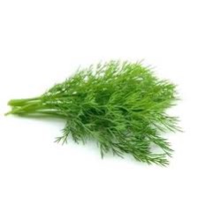 Dill Bunch [5 Small Bunches]