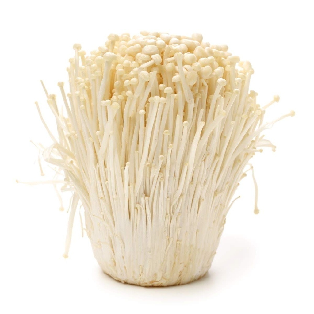 Mushroom Enoki 
