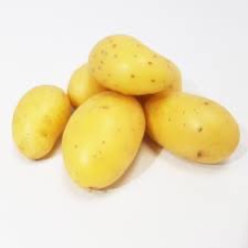 Potato Agathe 28+