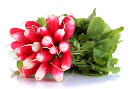 Radish Red Long [Bunch]