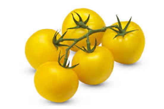 Tomato Yellow On The Vine