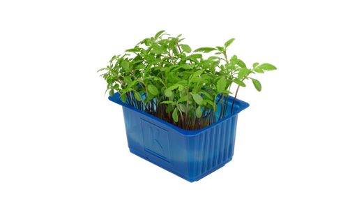 Tagete cress x1 top seal