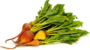 Baby Beetroot Golden