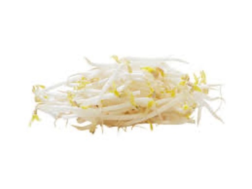 Bean Sprout