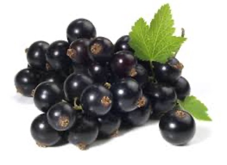 Blackcurrant
