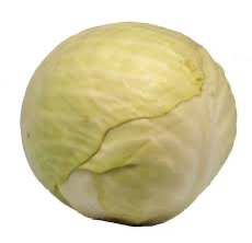 Cabbage White