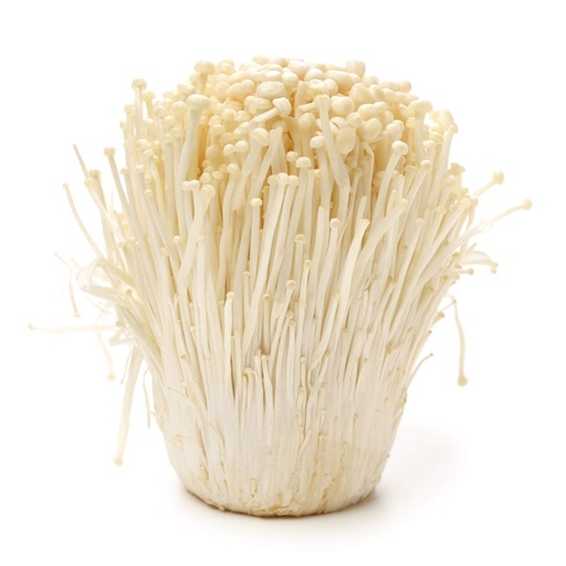 Mushroom Enoki 