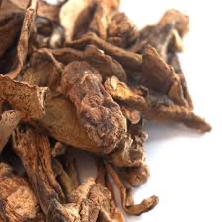 Mushrooms Cepes/Porcini Dried