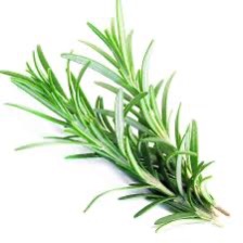 Rosemary Bunch [2 Small bunches]