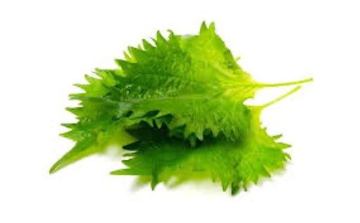 Shiso Leaves Green [15 each]