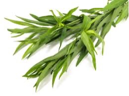 Tarragon Bunch [5 Small Bunch]