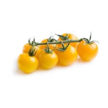 Tomato Cherry Yellow on the vine