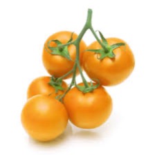 Tomato Orange On The Vine