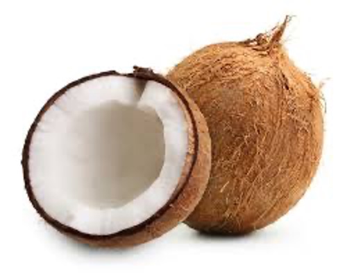 Coconut Brown Shell [Each]