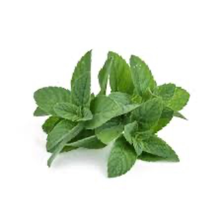 Mint Bunch