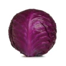 Cabbage Red [Each]