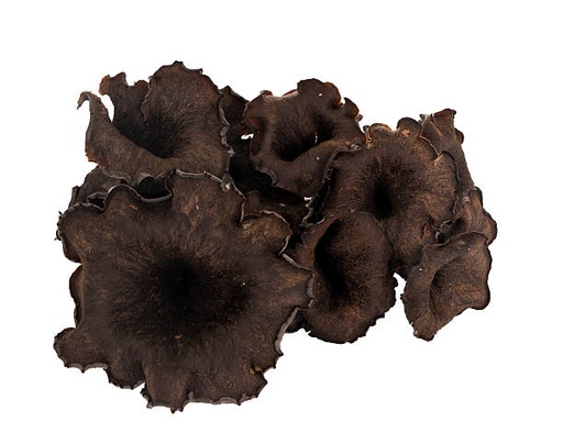 Mushrooms  Black trumpet